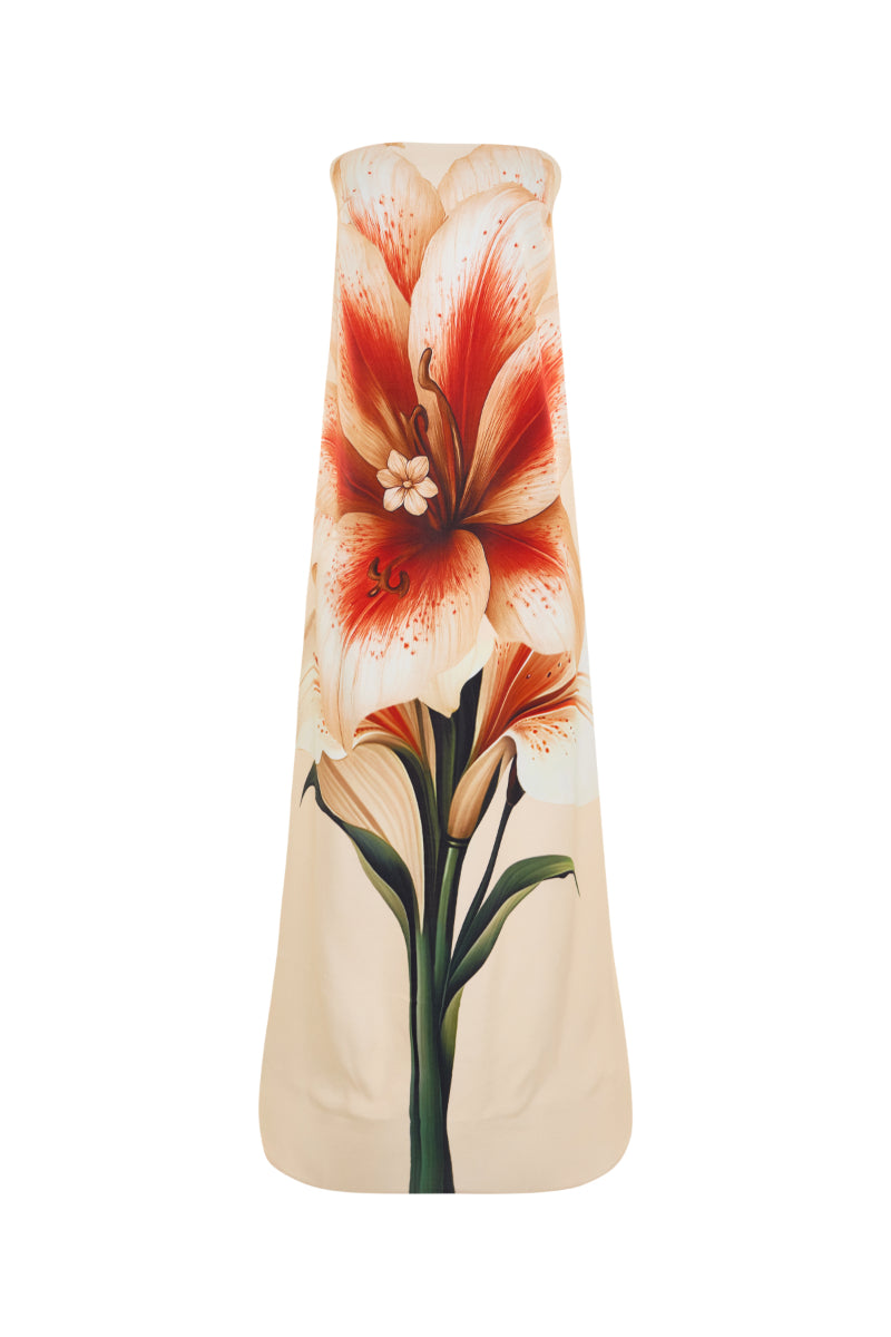 Nana Gotti Lunara maxi dress featuring flowing fabric, a fitted waist, and a stylish neckline, perfect for elegant summer wear.
