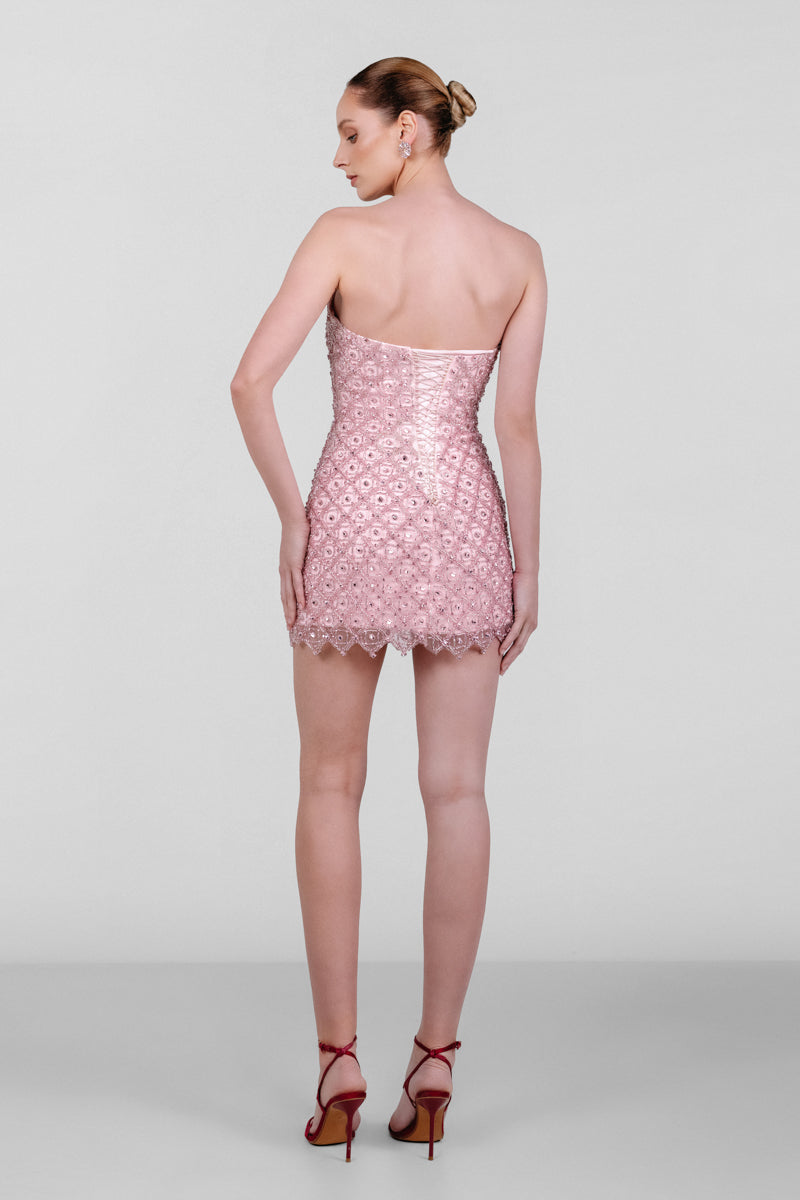 Blush pink embroidered mini dress by Monika Dimova featuring intricate embroidery and a fitted silhouette.