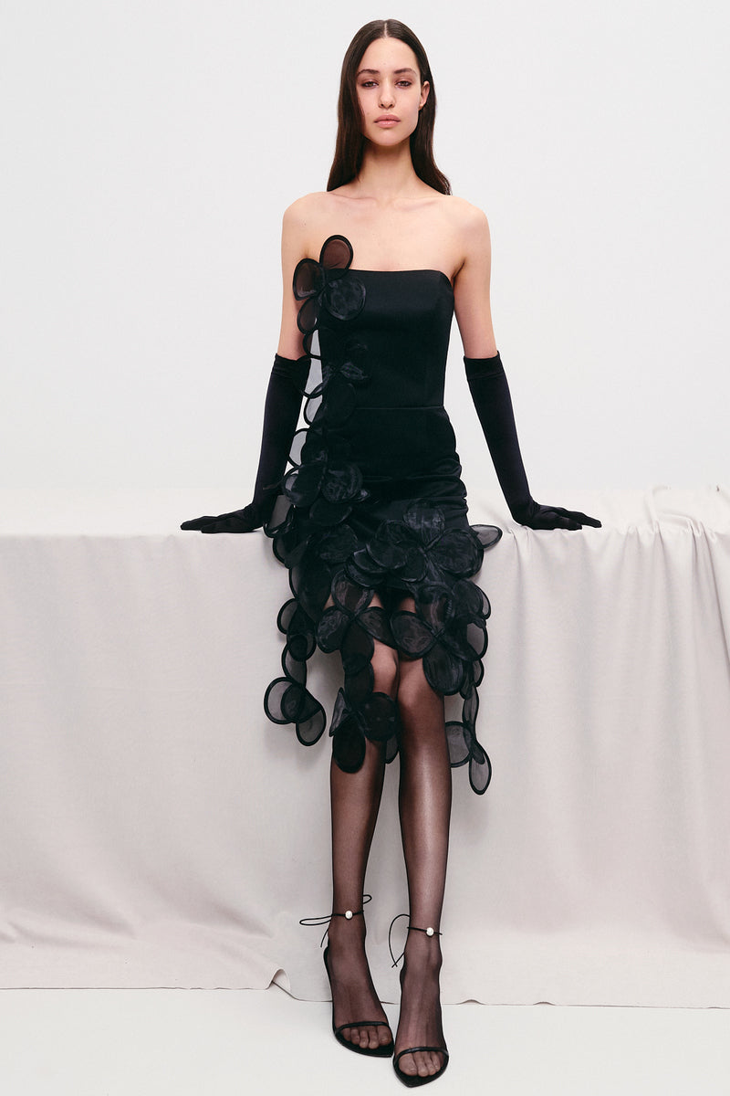FLORAL APPLIQUÉS SHEER MINI DRESS IN BLACK - CULT MIA