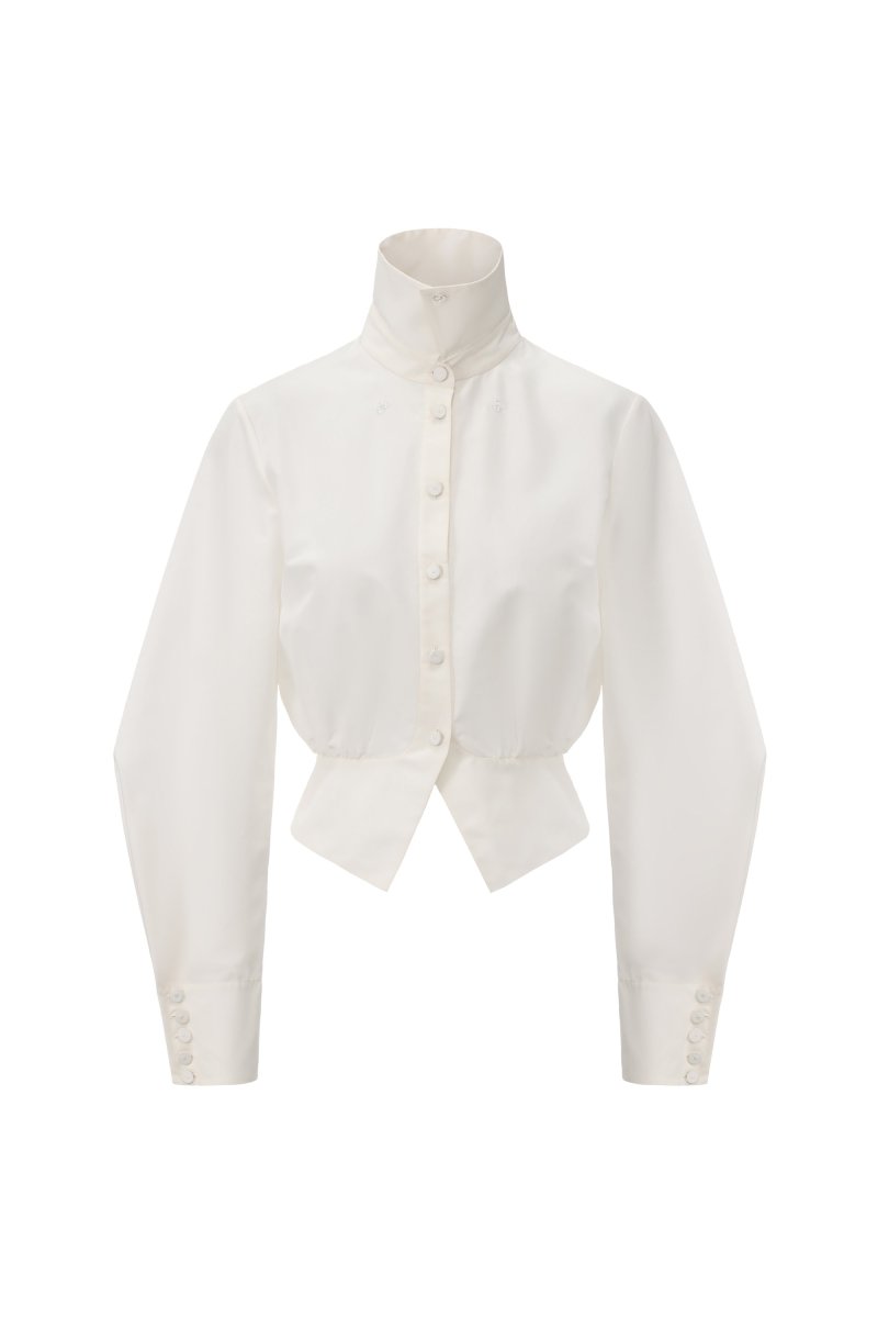 Chictopia sculpted waist shirt displayed on a hanger, showcasing fitted design and structured tailoring.