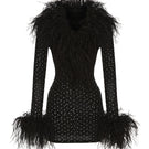 Black Margot Feather Mini Dress by Nana Jacqueline featuring feather detailing and a stylish, fitted silhouette.