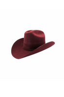 Modern Monarchie Monroe hat in merlot color, stylish hat with a wide brim and elegant design, perfect for fashion-forward outfits.