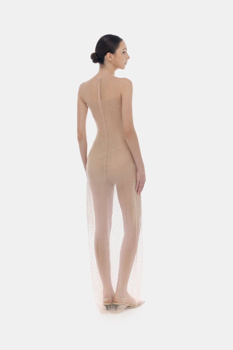 Nude embellished maxi dress by Montsand featuring intricate beadwork and a flowing silhouette, perfect for elegant occasions.