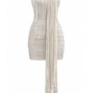 Francisco Arce LIOR mini dress featuring a stylish design, shown in a full-length view with details of the fabric and fit.