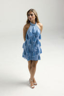 Francisco Arce mini dress featuring a stylish design, vibrant colors, and a flattering fit, perfect for casual or semi-formal occasions.