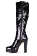 Black River Gloss boots by Terry de Havilland with sleek leather finish and pointed toe, shown on a white background.