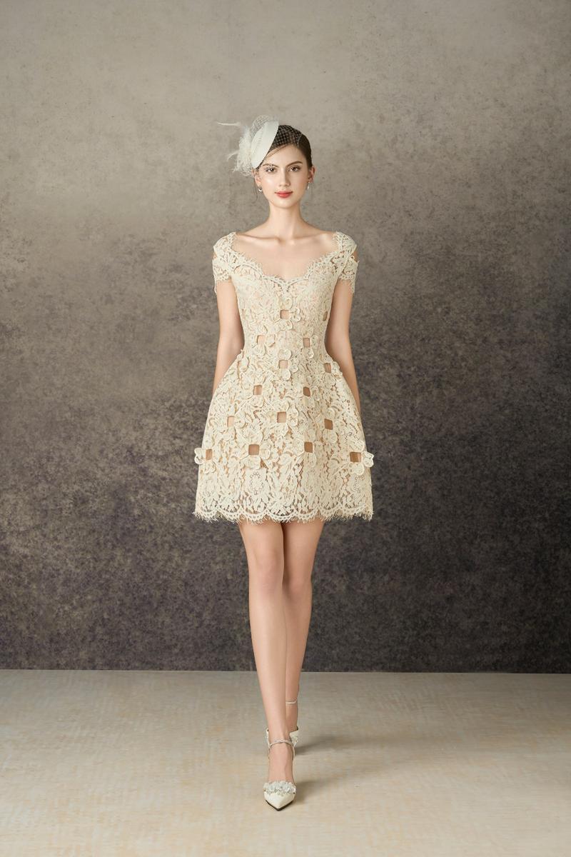 BRAELYNN A-LINE ROUND NECK LACE MINI DRESS
