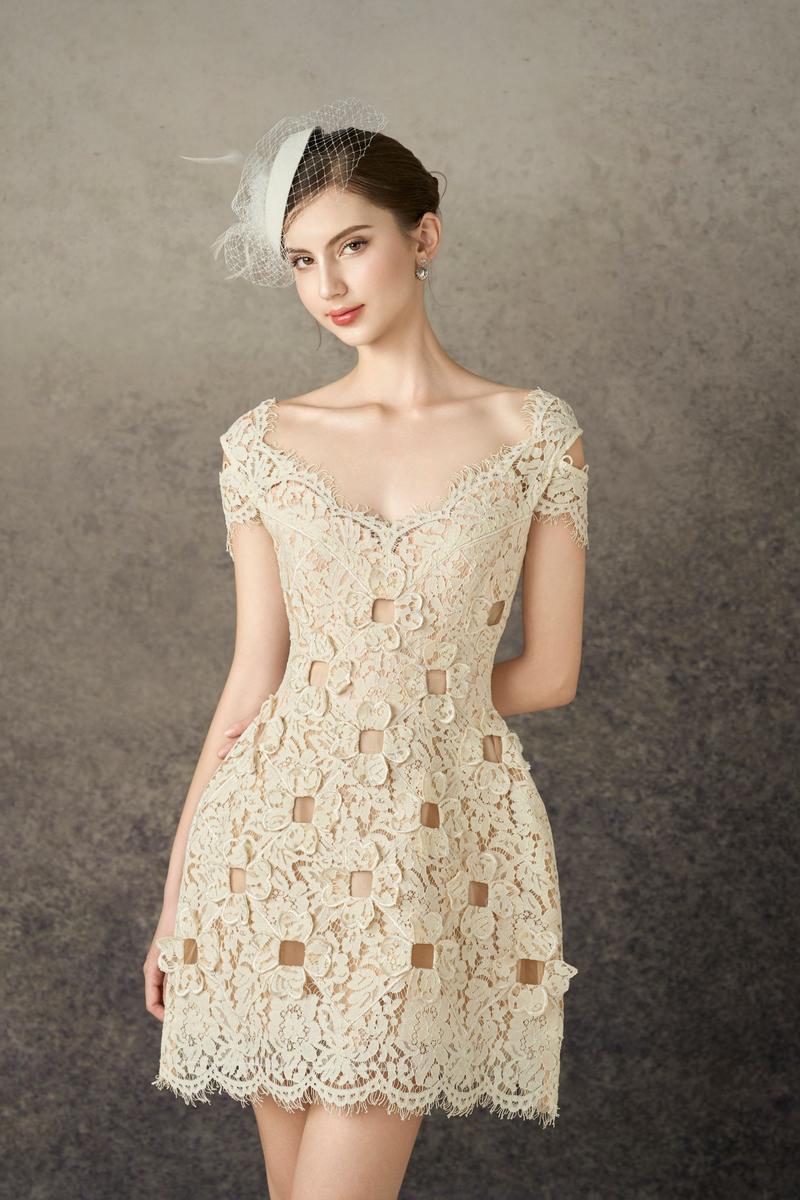 BRAELYNN A-LINE ROUND NECK LACE MINI DRESS