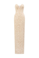 Beige Rana lace gown by 21Six featuring intricate lace details, fitted bodice, and flowing skirt, perfect for elegant occasions.