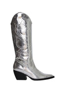 Silver Annie boots by Terry de Havilland featuring sleek leather design and pointed toes.