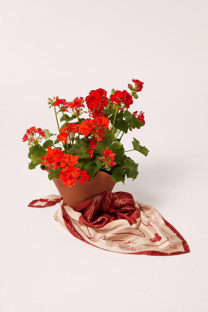 Red Señorita Luisa scarf with soft fabric and elegant design, perfect for stylish layering and adding a pop of color.