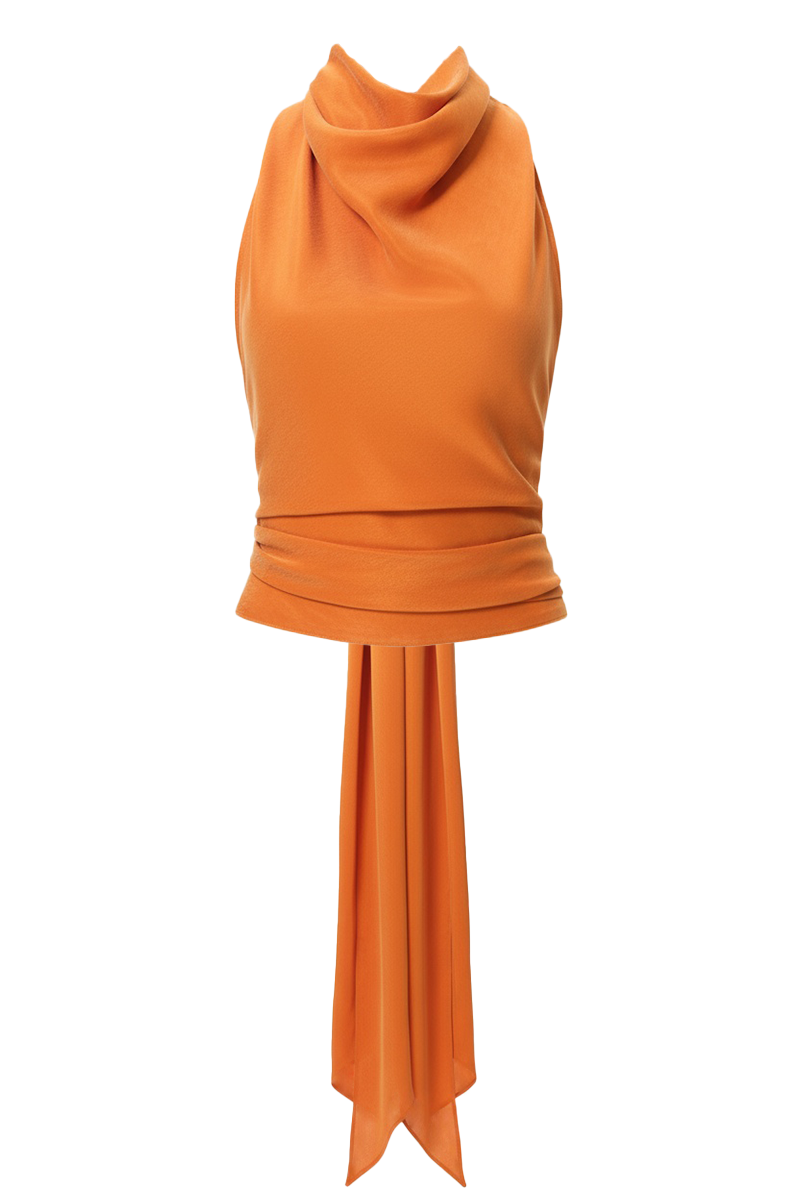 niLuu Sienna Sasha top featuring a stylish, fitted design with a V-neck and long sleeves, perfect for casual or chic outfits.