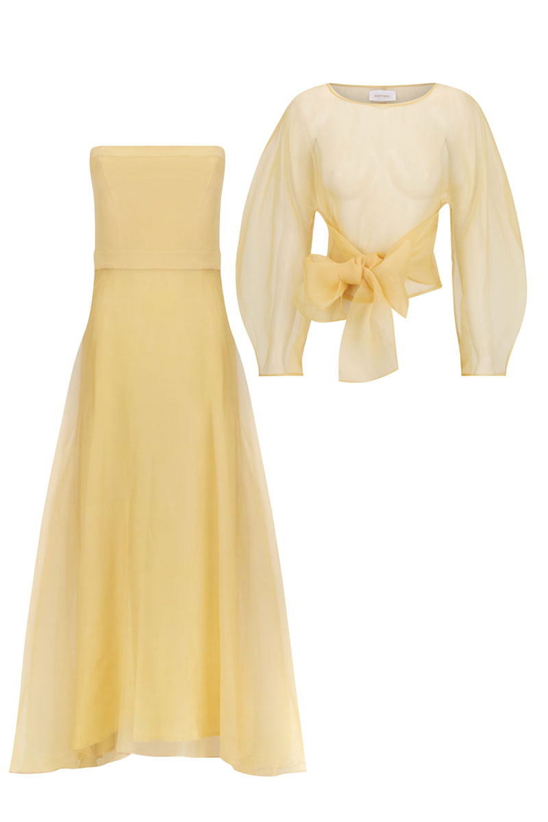 ROOHI ORGANZA TOP AND KOSALA STRAPLESS DRESS SET