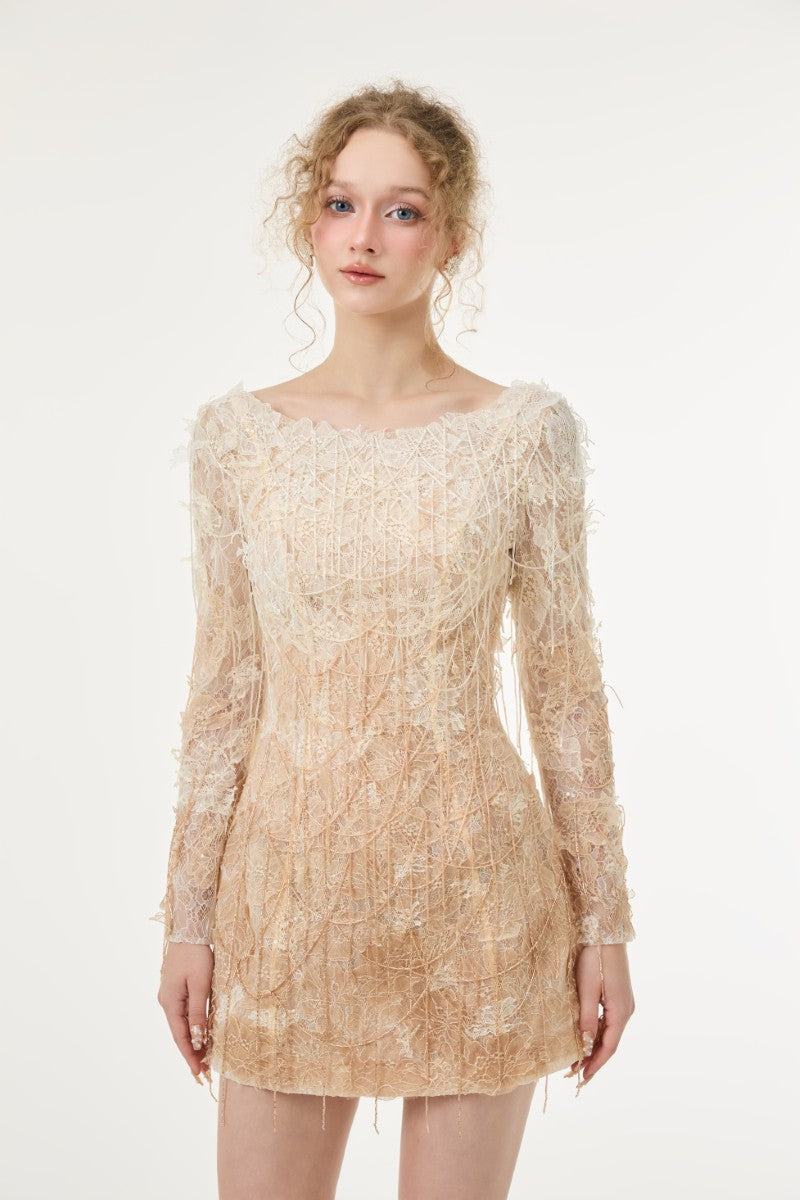 White and beige Lucienne lace mini dress by 21Six, featuring intricate lace details and a stylish fit.