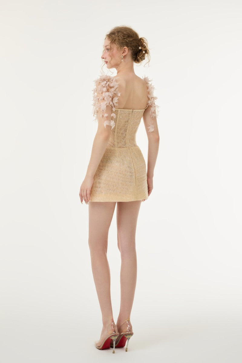 Beige Catalina tulle and lace mini dress by 21Six featuring delicate lace details and a flowy tulle skirt.