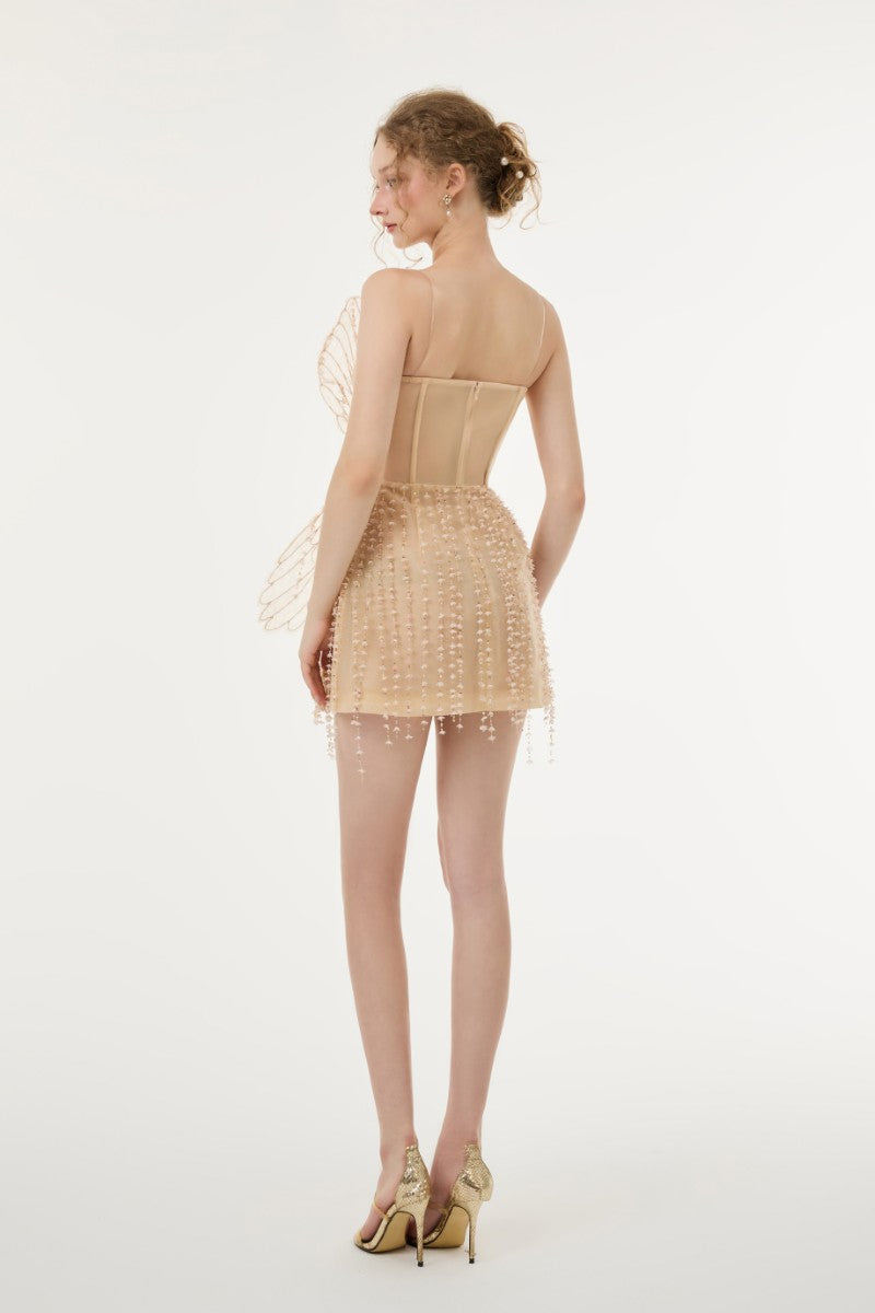 Beige Sabrina lace and tulle mini dress by 21Six, featuring intricate lace details and a flowy tulle skirt.