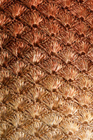 Verdi Kaia seashell clutch in gold and copper with metallic finish and intricate shell design, perfect for evening accessories.