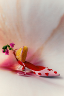 Elegant Christin Wu Wenda heels featuring a sleek design and stylish heel, ideal for formal or evening wear.