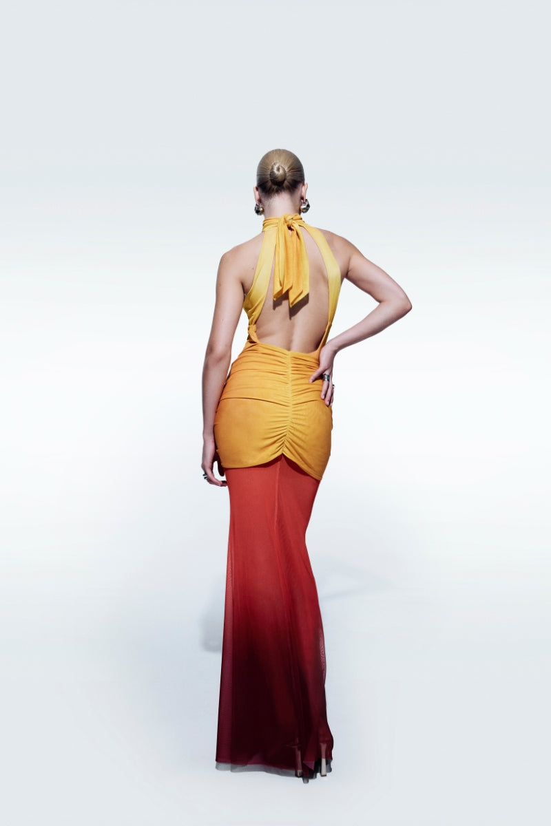 Zeynep Tosun sunset backless printed tulle maxi dress with colorful floral patterns and flowing silhouette.