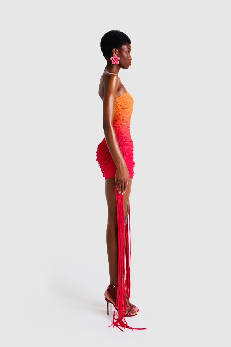 ZAYA TASSEL MINI IN SUNSET OMBRE