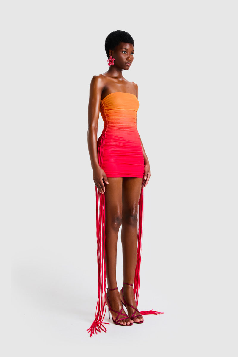 tassel dress design Dinah Cap Sleeve Beaded Tassel Dress