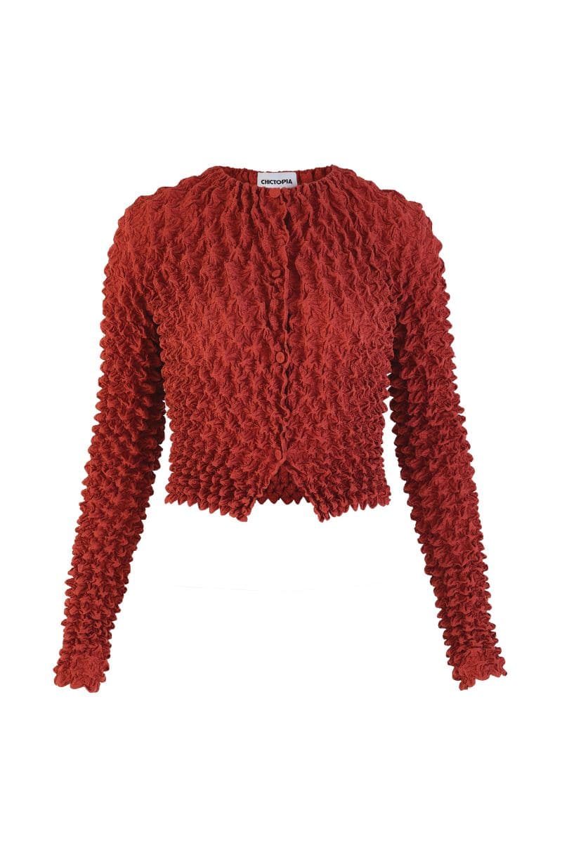 BROWN POPCORN PLEATS OPEN FRONT TOP | Chictopia | CULT MIA