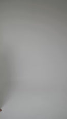 CONCHA DRESS
