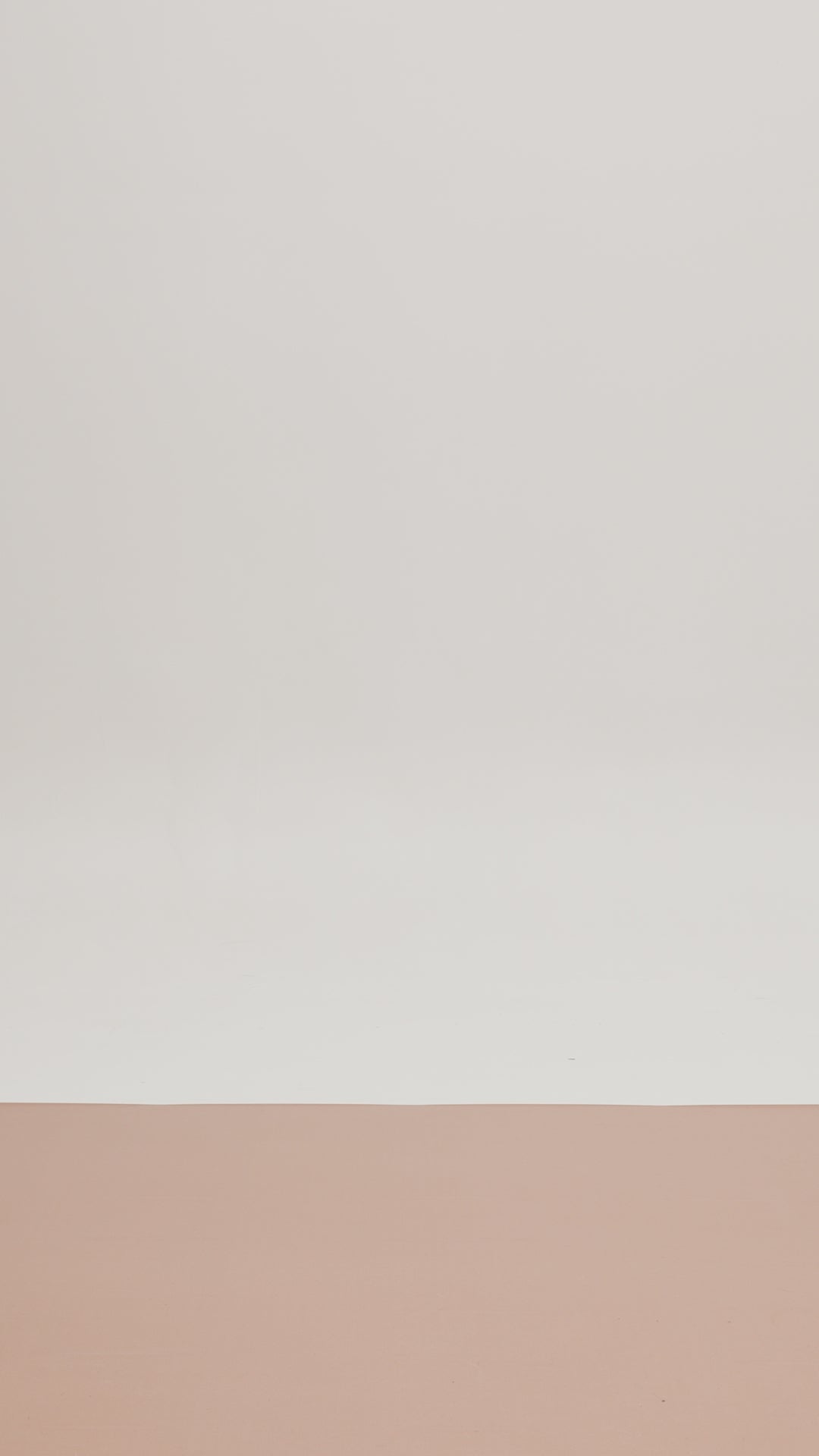 LONG-SLEEVED SHEER BODYSUIT