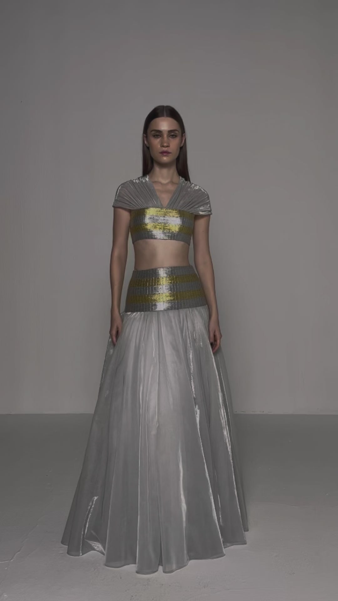 ZARI STRIPED METALLIC ENSEMBLE