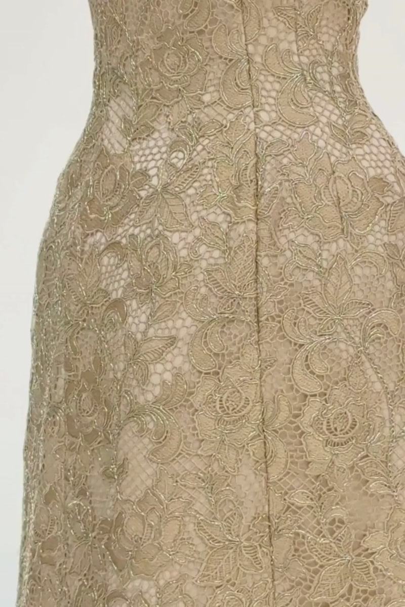 BUSTIER LACE GOWN IN BEIGE