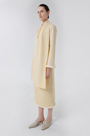 Delegen wool midi skirt styled on a model, showcasing its elegant design and fabric texture against a neutral background.