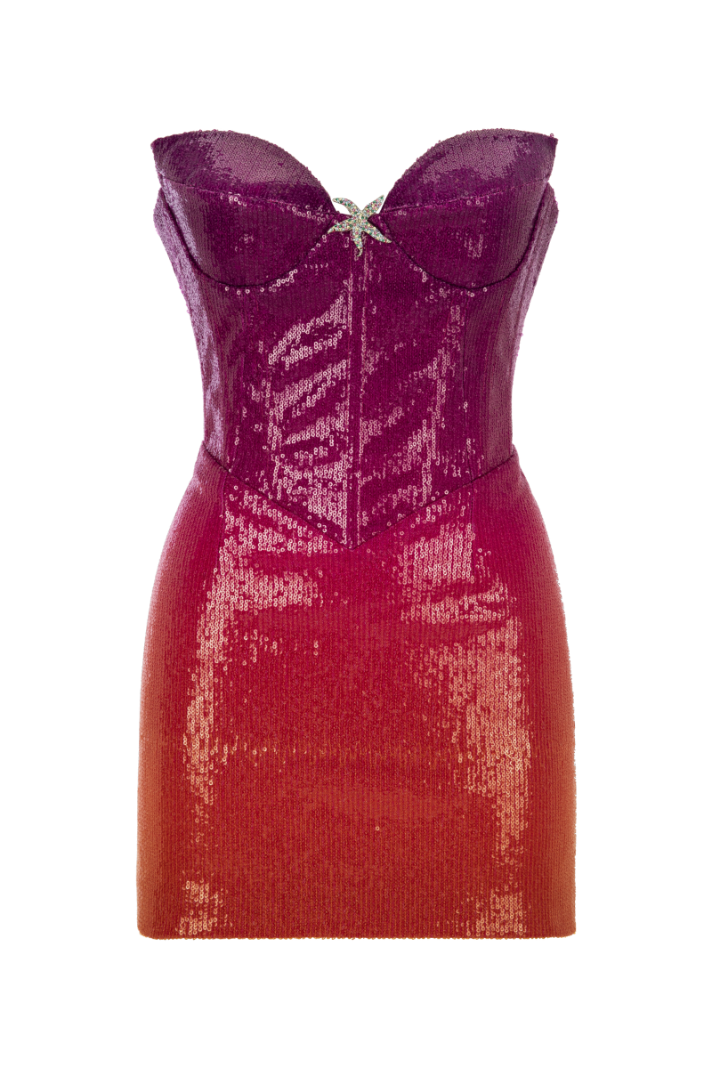 STAR CORSET SEQUIN MINI DRESS | CULT MIA | Sudi Etuz STAR CORSET SEQUIN MINI DRESS | CULT MIA | Sudi Etuz