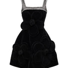 HAPPY CLOTHING CULT MIA X floral velvet mini dress featuring vibrant floral pattern and soft velvet fabric.