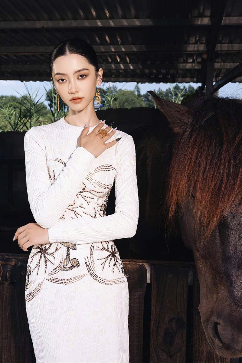 MUSHROOM MIDI DRESS HUNGGING BODY WITH STONES - CULT MIA